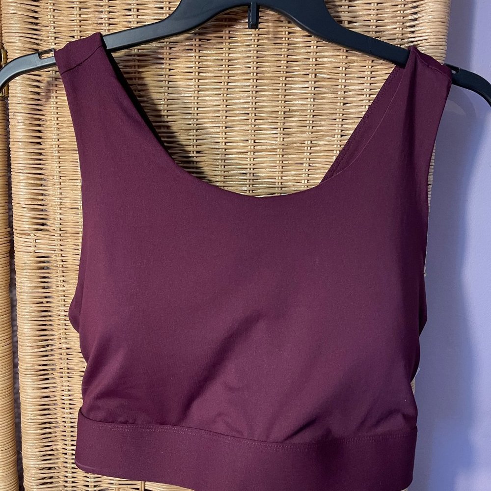 Fabletics Ella High Impact Sports Bra - 3X